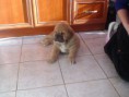 /album/fotogaleria-cezar/dsc00867-jpg/