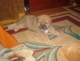 /album/fotogaleria-cezar/dsc00909-jpg/