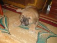 /album/fotogaleria-cezar/dsc00910-jpg/