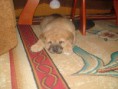 /album/fotogaleria-cezar/dsc00925-jpg/